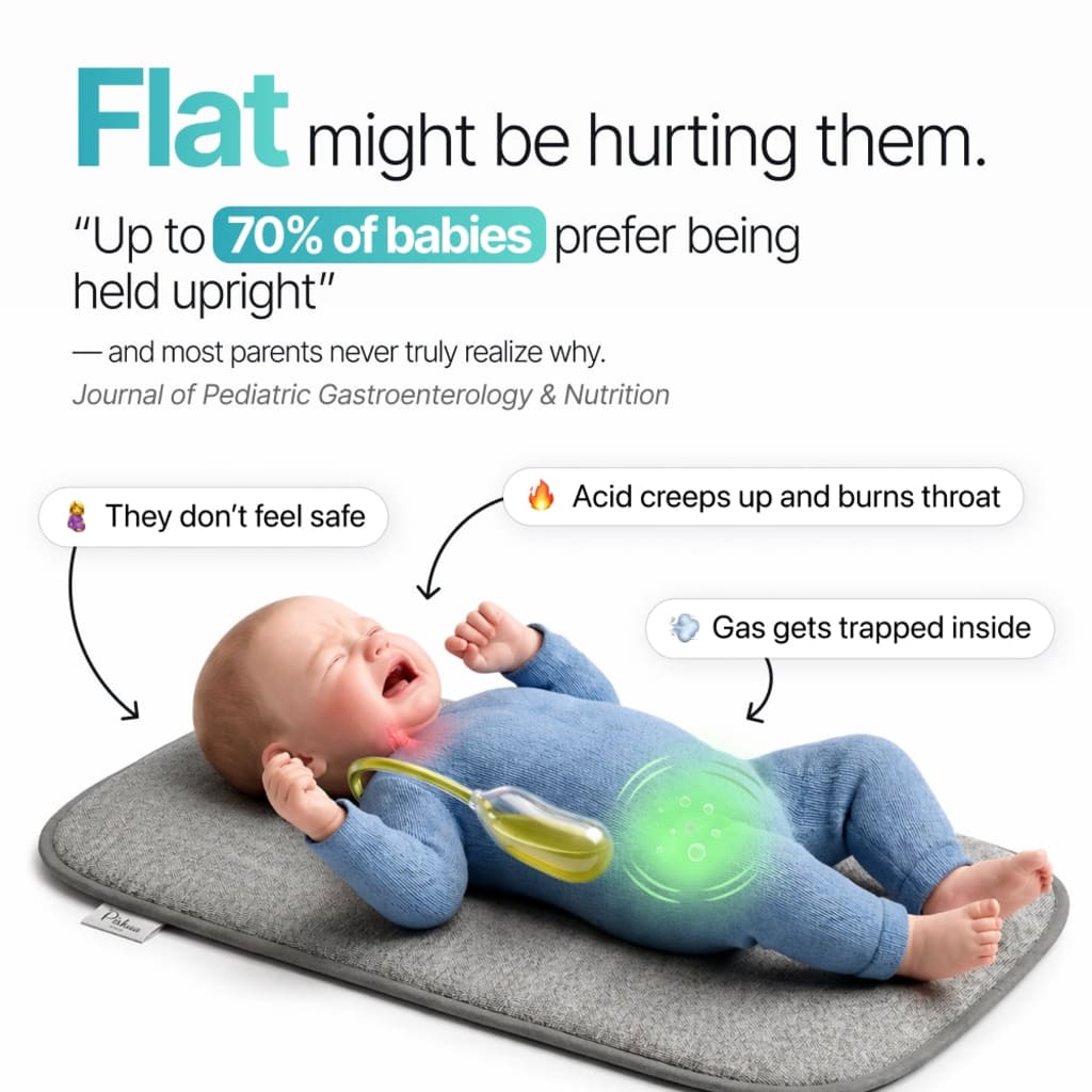 SnuggleCradle – For Reflux, Colic & Better Sleep